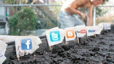 Online Community Development