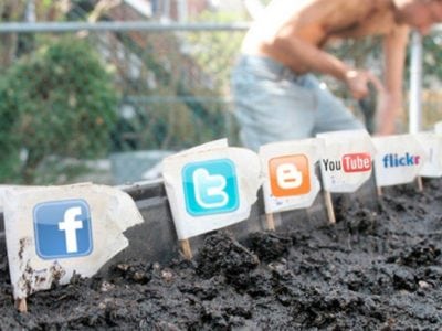 Online Community Development